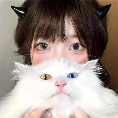 特里萨