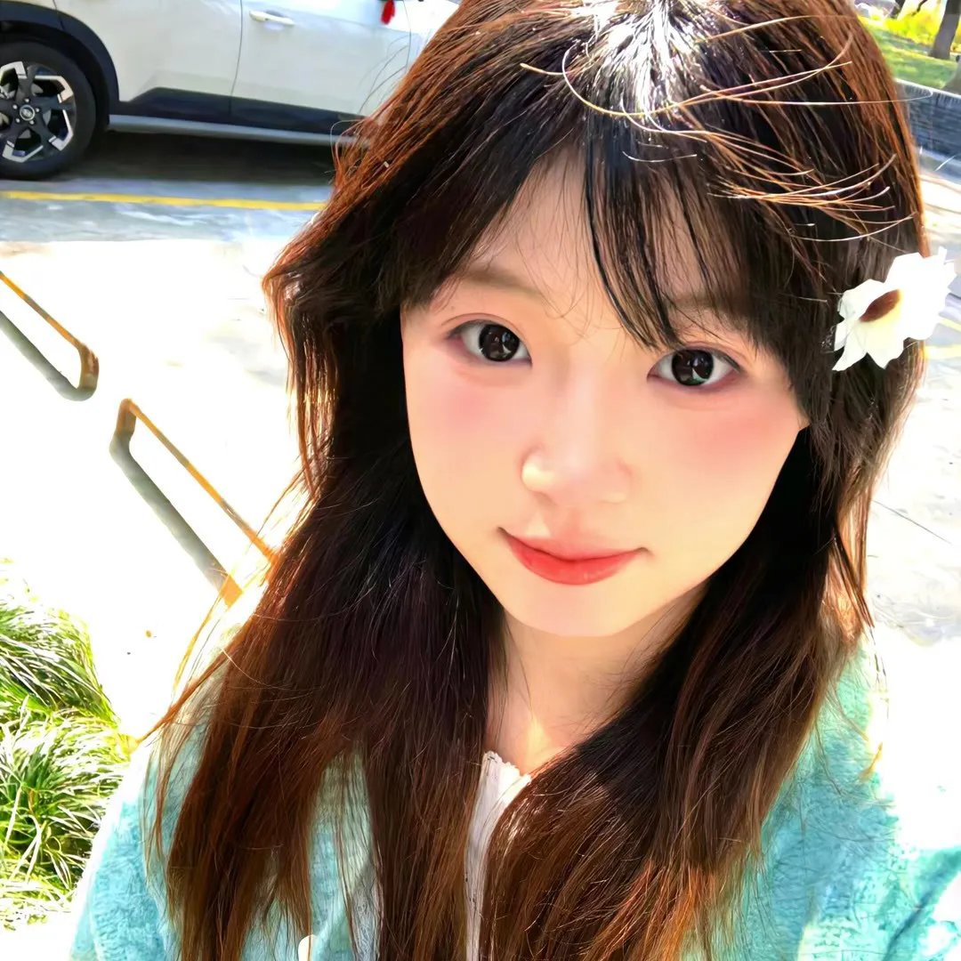 南方的野兽